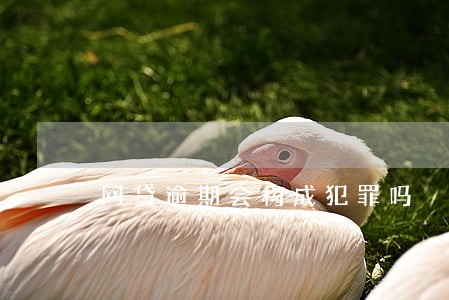 网贷逾期会构成犯罪吗 网贷逾期会构成犯罪吗