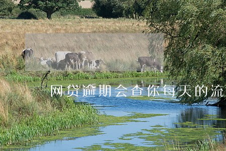 网贷逾期会查你每天的流水吗 网贷逾期会查你每天的流水吗