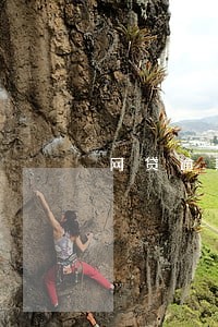 网贷逾期会查保险单吗 网贷逾期会查保险单吗
