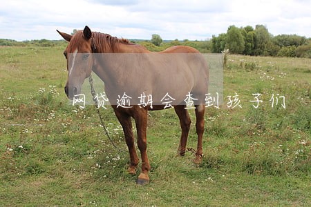 网贷逾期会查到孩子们 网贷逾期会查到孩子们