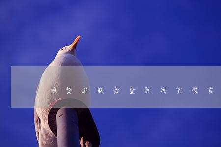 网贷逾期会查到淘宝收货地址么 网贷逾期会查到淘宝收货地址么