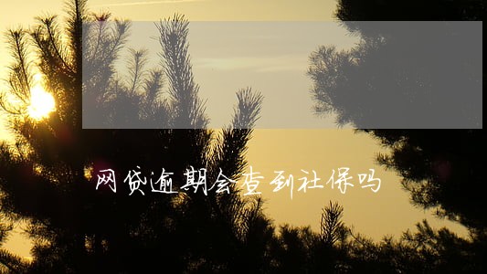网贷逾期会查到社保吗 网贷逾期会查到社保吗