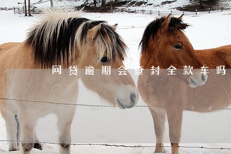 网贷逾期会查封全款车吗 网贷逾期会查封全款车吗