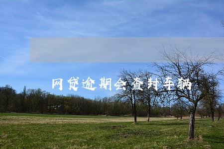 网贷逾期会查封车辆