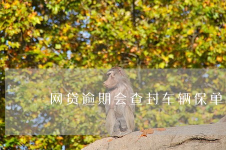 网贷逾期会查封车辆保单吗 网贷逾期会查封车辆保单吗