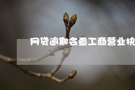 网贷逾期会查工商营业执照吗 网贷逾期会查工商营业执照吗