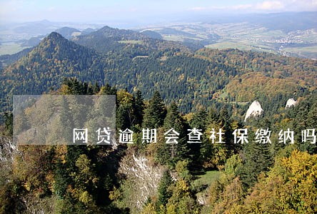 网贷逾期会查社保缴纳吗 网贷逾期会查社保缴纳吗