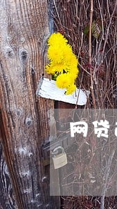 网贷逾期会永远还款吗