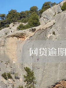 网贷逾期会法院上门拘留吗 网贷逾期会法院上门拘留吗