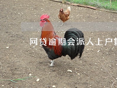 网贷逾期会派人上户籍 网贷逾期会派人上户籍