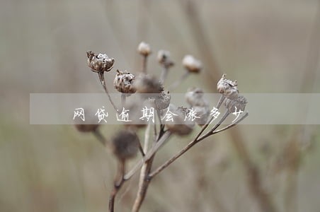 网贷逾期会涨多少 网贷逾期会涨多少