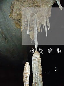网贷逾期会清算资产吗 网贷逾期会清算资产吗