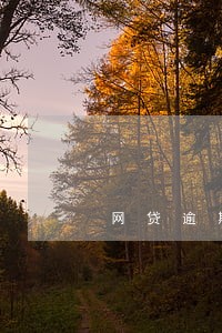 网贷逾期会爆贷后通话记录吗