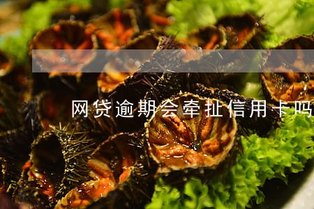 网贷逾期会牵扯信用卡吗 网贷逾期会牵扯信用卡吗