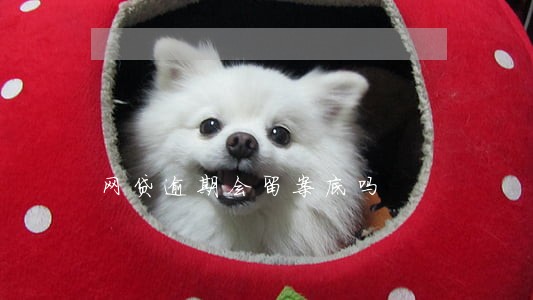 网贷逾期会留案底吗 网贷逾期会留案底吗