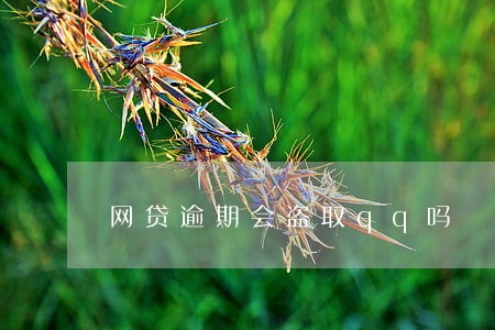 网贷逾期会盗取qq吗 网贷逾期会盗取qq吗