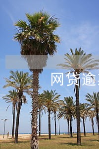 网贷逾期会直接列入失信名单 网贷逾期会直接列入失信名单
