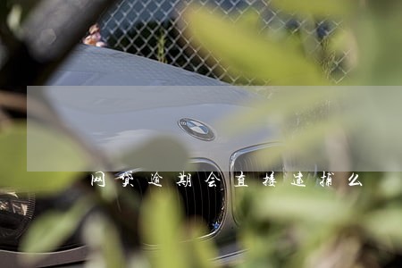 网贷逾期会直接逮捕么 网贷逾期会直接逮捕么