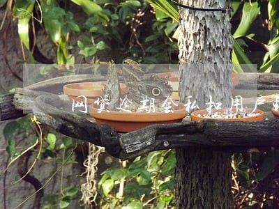 网贷逾期会私扣用户钱吗