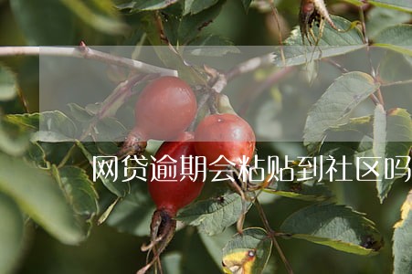 网贷逾期会粘贴到社区吗 网贷逾期会粘贴到社区吗