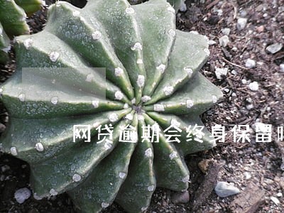 网贷逾期会终身保留吗 网贷逾期会终身保留吗