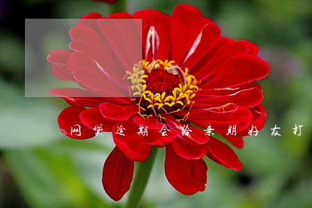 网贷逾期会给亲朋好友打电话 网贷逾期会给亲朋好友打电话