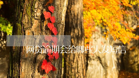网贷逾期会给哪些人发短信 网贷逾期会给哪些人发短信