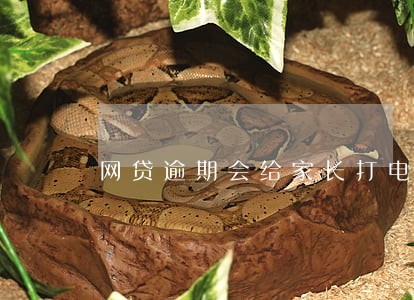 网贷逾期会给家长打电话吗 网贷逾期会给家长打电话吗