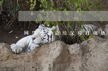 网贷逾期会给父母打电话吗 网贷逾期会给父母打电话吗