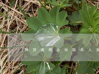 网贷逾期会给联系人发短信吗 网贷逾期会给联系人发短信吗