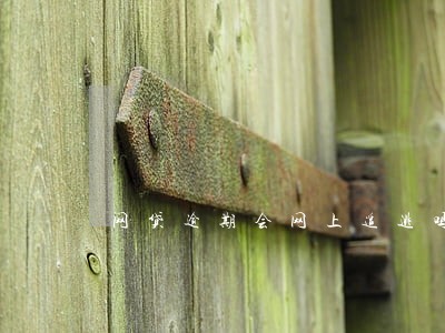 网贷逾期会网上追逃吗