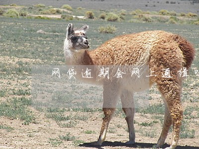 网贷逾期会网上通缉吗 网贷逾期会网上通缉吗