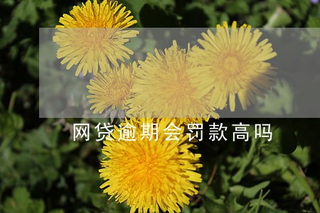 网贷逾期会罚款高吗 网贷逾期会罚款高吗