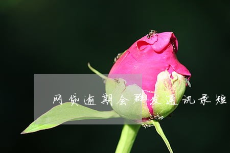 网贷逾期会群发通讯录短信么 网贷逾期会群发通讯录短信么