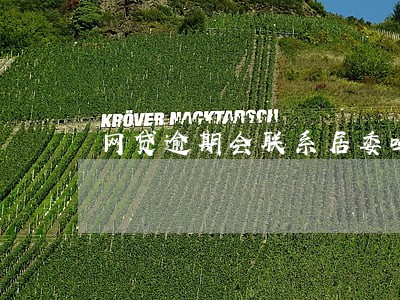 网贷逾期会联系居委吗 网贷逾期会联系居委吗