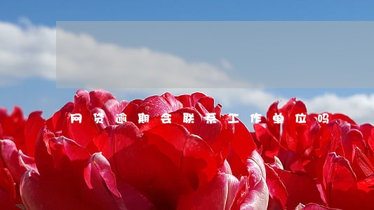 网贷逾期会联系工作单位吗 网贷逾期会联系工作单位吗