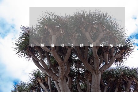 网贷逾期会联系房东吗 网贷逾期会联系房东吗