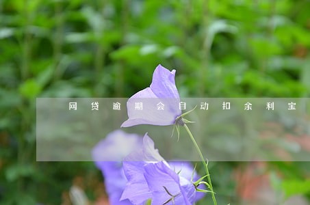 网贷逾期会自动扣余利宝的钱吗 网贷逾期会自动扣余利宝的钱吗