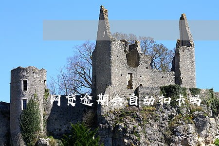 网贷逾期会自动扣卡吗 网贷逾期会自动扣卡吗