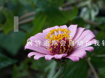 网贷逾期会自动扣我钱吗 网贷逾期会自动扣我钱吗