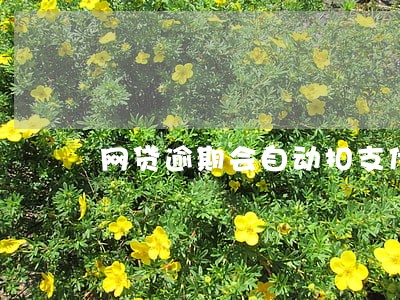 网贷逾期会自动扣支付宝吗 网贷逾期会自动扣支付宝吗