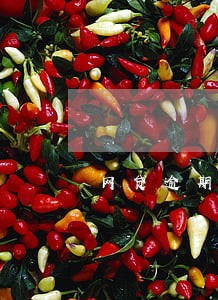 网贷逾期会自律吗 网贷逾期会自律吗