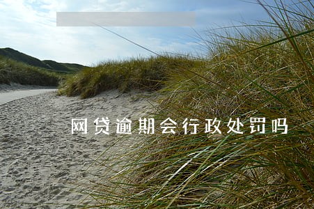 网贷逾期会行政处罚吗 网贷逾期会行政处罚吗