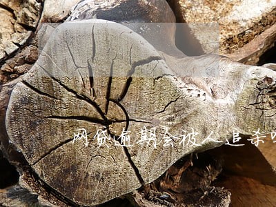 网贷逾期会被人追杀吗 网贷逾期会被人追杀吗