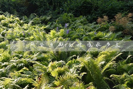 网贷逾期会被催收多久 网贷逾期会被催收多久