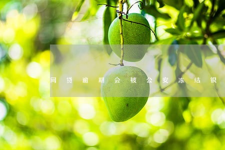 网贷逾期会被公安冻结银行卡吗 网贷逾期会被公安冻结银行卡吗