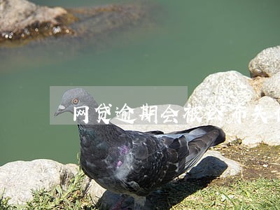 网贷逾期会被公布失信人名单吗 网贷逾期会被公布失信人名单吗