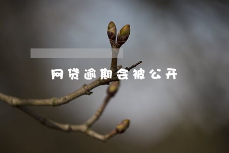 网贷逾期会被公开 网贷逾期会被公开
