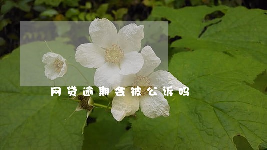 网贷逾期会被公诉吗 网贷逾期会被公诉吗