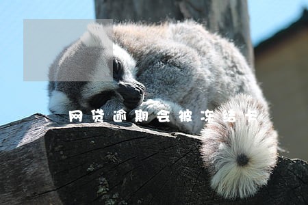 网贷逾期会被冻结卡 网贷逾期会被冻结卡